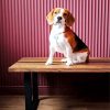 Beagle Dog On The Table diamond painting