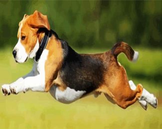 Beagle Running diamond painting