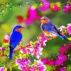 Beautiful Spring Nature diamond painting