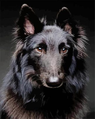 Black Belgian Tervuren diamond painting