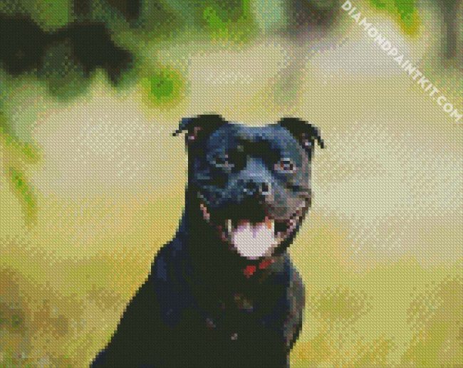 Black Staffordshire Bull Terrier diamond painting