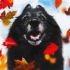 Black Tervuren And Leaves diamond painting