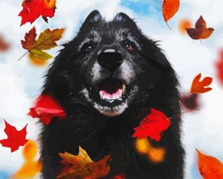 Black Tervuren And Leaves diamond painting