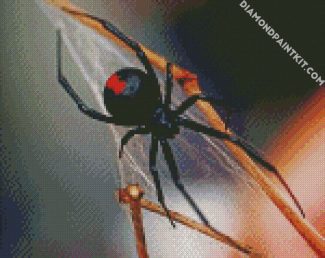 black widow spider diamond painting