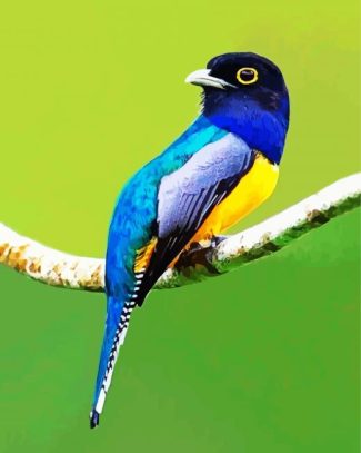 Blue Trogon diamond painting