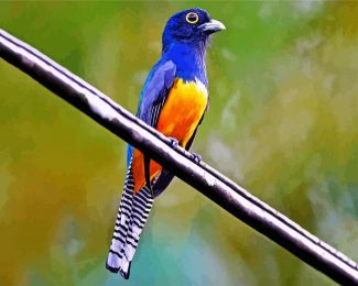 Blue Trogon diamond painting