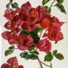 Botanical Flowers Art diamond painting