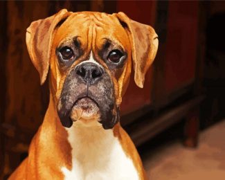 Brown Boxer Dog diamond painting