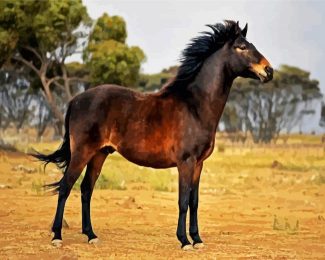 Brown Brumby diamond painting