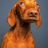 Brown Vizsla Dog diamond painting