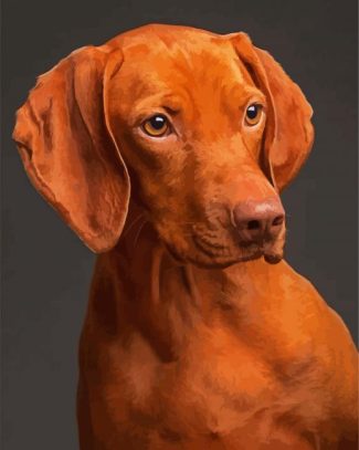 Brown Vizsla diamond painting