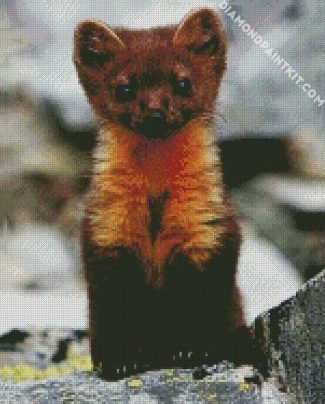 Brown Weasel diamond painting