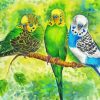 Budgerigar Birds diamond painting