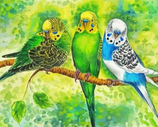 Budgerigar Birds diamond painting