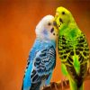 Budgerigars diamond painting