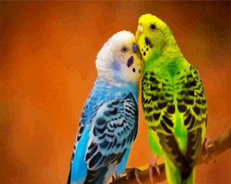 Budgerigars diamond painting