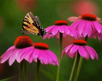 Butterfly And Purple Coneflower diamond painting