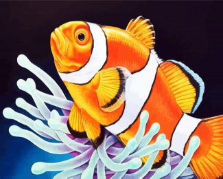 Clownfish diamond painting