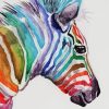 Colorful Zebra diamond painting