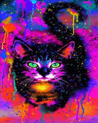 Colorful Cat diamond painting