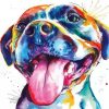 Colorful Pitbull diamond painting