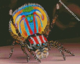 Colorful Spider diamond painting