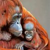 Cute Orangutans diamond painting