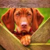 Cute Vizsla diamond painting