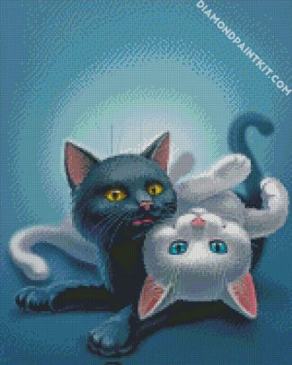 Cute Black And White Cats diamond painting