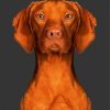 Cute Brown Vizsla Dog diamond painting