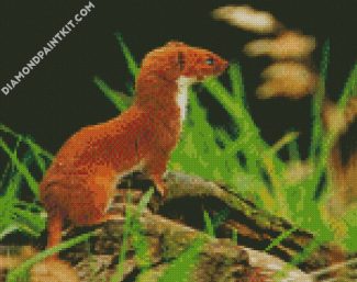 Cute Brown Weasel diamond painting