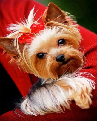 Cute Yorkie diamond painting