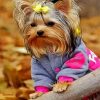 Cute Yorkie Puppy diamond painting