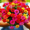 Cute Zinnias diamond painting