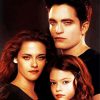 Edward And Bella diamond painting