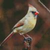 Female Cardinal Bird diamond painting