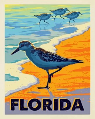 Florida Sea Birds diamond painting