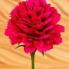 Fuschia Pink Carnation diamond painting