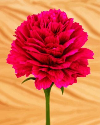 Fuschia Pink Carnation diamond painting