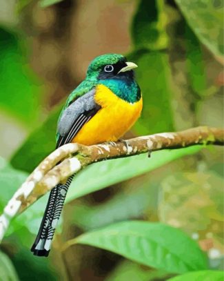 Green And Yellow Trogon diamond painting