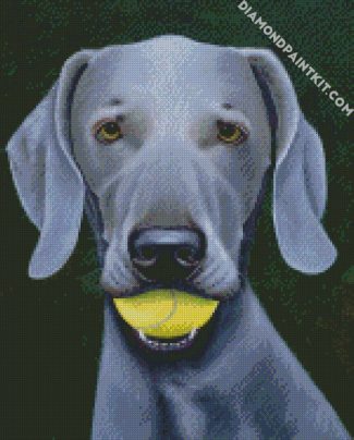 Grey Weimaraner Dog diamond painting