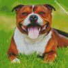 Happy Brown Staffordshire Bull Terrier diamond painting