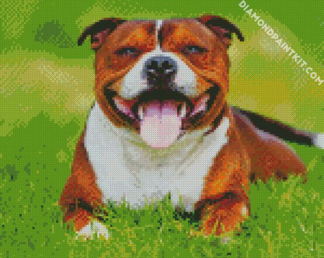 Happy Brown Staffordshire Bull Terrier diamond painting