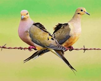 Mourning Doves diamond painting