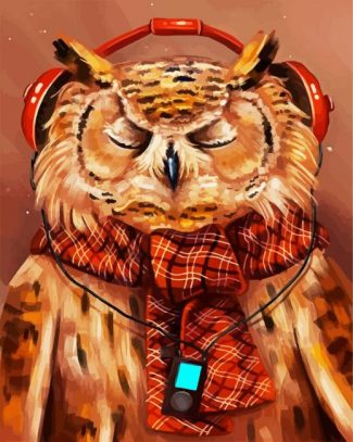 Owl Listening To Music diamond painting