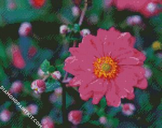 Pink Flower Anemone diamond painting