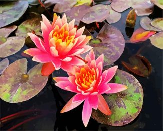 Pink Water Lilly diamond painting