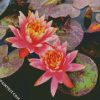 Pink Water Lilly diamond painting