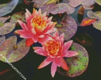 Pink Water Lilly diamond painting