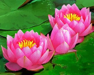 Pink Waterlily diamond painting